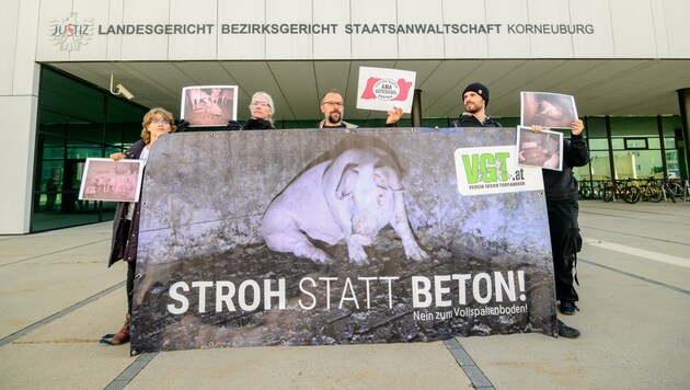Protestaktion des Vereins gegen Tierfabriken vor dem Landesgericht Korneuburg. Dort musste sich am Mittwoch ein Landwirt wegen Tierquälerei verantworten. (Bild: Imre Antal)