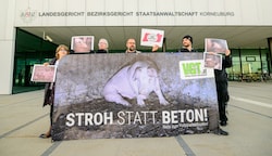 Protestaktion des Vereins gegen Tierfabriken vor dem Landesgericht Korneuburg. Dort musste sich am Mittwoch ein Landwirt wegen Tierquälerei verantworten. (Bild: Imre Antal)