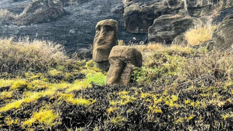 (Bild: AFP7Rapanui Municipality)