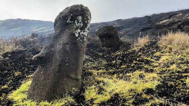 Bei einem verheerenden Buschbrand auf der für ihre kolossalen Steinfiguren bekannten Osterinsel sind mehrere der weltberühmten Statuen verkohlt und beschädigt worden. (Bild: AFP/Rapanui Municipality)