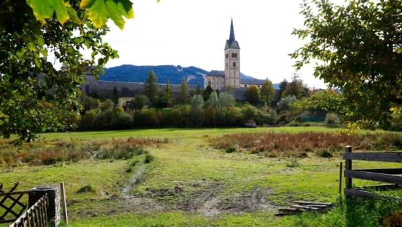 Die sumpfige Wiese ist ein kartiertes Biotop. (Bild: Gerhard Schiel)