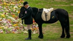 Fellpony „Emma“ erwies der Queen an der Seite von Stallmeister Terry Pendry die letzte Ehre. (Bild: AP)