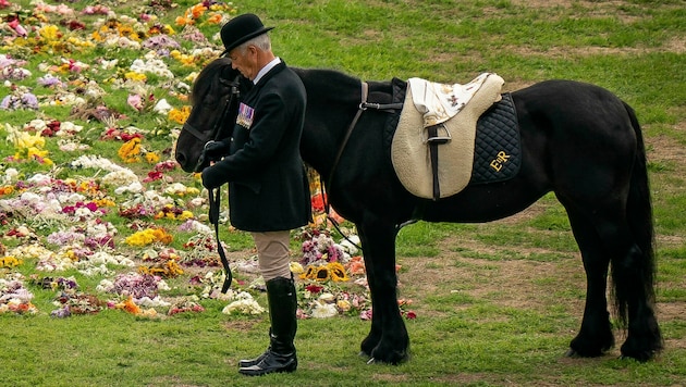 Fellpony „Emma“ erwies der Queen an der Seite von Stallmeister Terry Pendry die letzte Ehre. (Bild: AP)