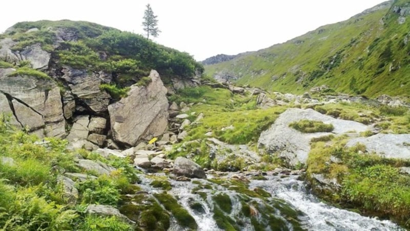 Im Mittelpunkt des Biosphärenparks steht der Erhalt der kulturellen und biologischen Vielfalt im Lebensraum. (Bild: Holitzky Roland)