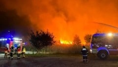 Rund 159 Kameradinnen und Kameraden kämpften von 1:16 bis 6 Uhr Früh gegen die Flammen im Schilf. (Bild: Bezirksfeuerwehrkommando Eisenstadt Umgebung)