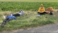 Mittwoch in der Früh griff die Polizei 14 Migranten am Wegesrand bei Deutschkreutz auf. (Bild: Schulter Christian, Krone KREATIV)