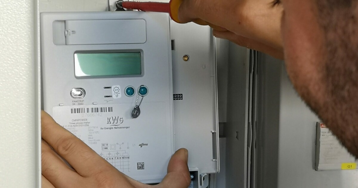 95% Bis Ende 2024 - Ausrollung Der Smart-Meter Kommt In Schwung | Krone.at