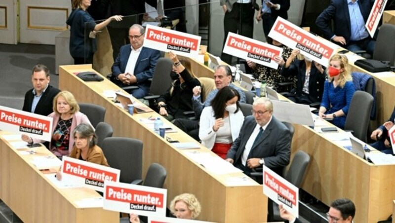 Protestaktion der SPÖ-Fraktion (Bild: APA/HELMUT FOHRINGER)