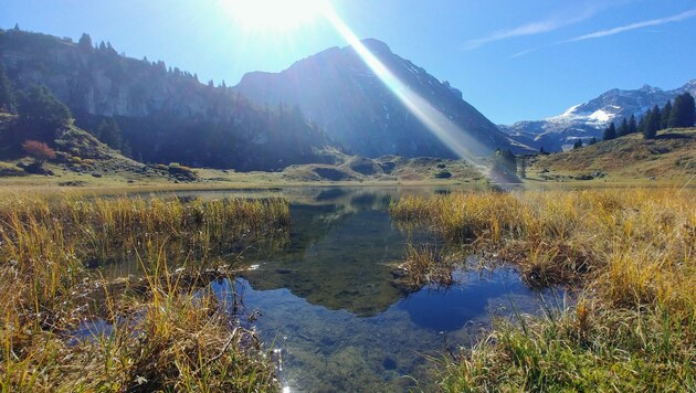 Urlauben in Vorarlberg: Berge und Seen, Kulinarik und Kultur. Den Gästen gefällt’s. (Bild: Bergauer)