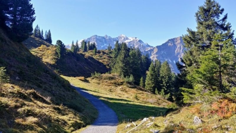 Auf dieser Tour muss niemand mit besonders heftigen Steigungen kämpfen. (Bild: Bergauer)