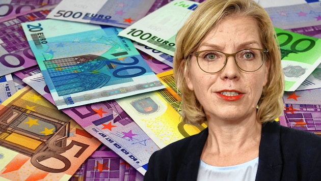 Umweltministerin Leonore Gewessler zählt zu den großen Gewinnern der Budgetverhandlungen. (Bild: Krone KREATIV, stock.adobe.com/M.Schuppich, SEPA.Media/Michael Indra)