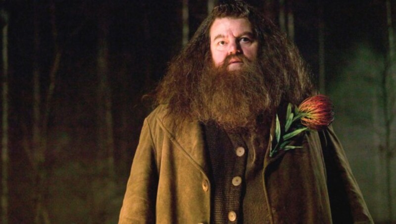 Einem großen Publikum bekannt wurde Coltrane als Wildhüter Rubeus Hagrid in den Harry-Potter-Filmen. (Bild: WARNER BROS & J K ROWLING &# / Mary Evans / picturedesk.com)