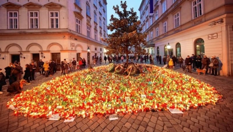 Unvergessen - Das Lichtermeer nach dem Terroranschlag in Wien. (Bild: Georges Schneider / picturedesk.com)