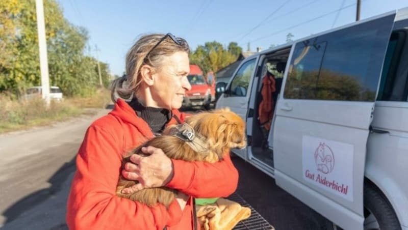 Gemeinsam mit ehemaligen Soldaten brachte das Team von Gut Aiderbichl Henndorf die traumatisierten Vierbeiner in ihr neues Zuhause. (Bild: Gut Aiderbichl)