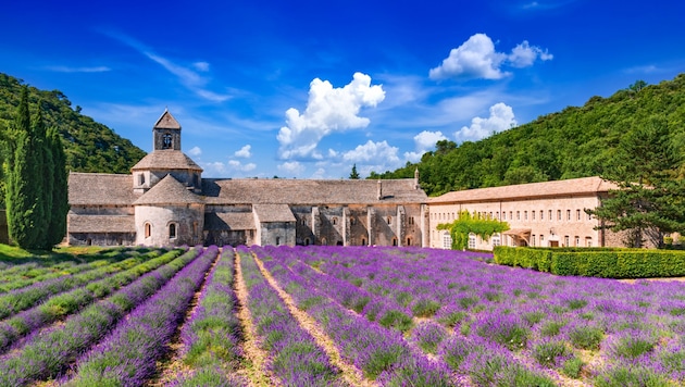 Der Lavendel vor der Abtei von Sénanque blüht natürlich nicht im Winter, aber nichtsdestotrotz ist gerade die kalte Jahreszeit reizvoll und genussreich für eine Reise in die Provence. (Bild: © cge2010)