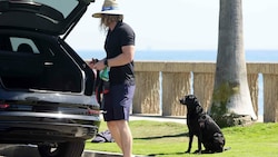 Der neue Hundesitter von Prinz Harry und Herzogin Meghan mit Hündin Pula am Strand. (Bild: www.photopress.at)