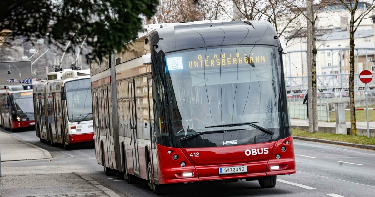 Obus-Chefin: „Befinden uns in einem Teufelskreis“