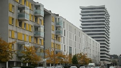 Auch beim Lenau-Terrassen-Turm in der Grünen Mitte gibt’s freie Flächen. (Bild: Markus Wenzel)