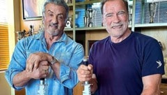 „Rambo“ Sylvester Stallone und „Terminator“ Arnold Schwarzenegger vereint - beim Schnitzen eines Kürbisses. (Bild: instagram.com/schwarzenegger)