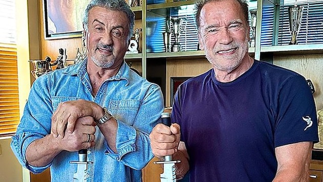 „Rambo“ Sylvester Stallone und „Terminator“ Arnold Schwarzenegger vereint - beim Schnitzen eines Kürbisses. (Bild: instagram.com/schwarzenegger)