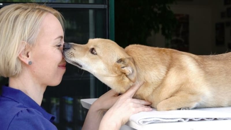 Christina Meister-Sedlinger ist bei ihrer Arbeit mit ganzem Herzen dabei. (Bild: Physiodog)