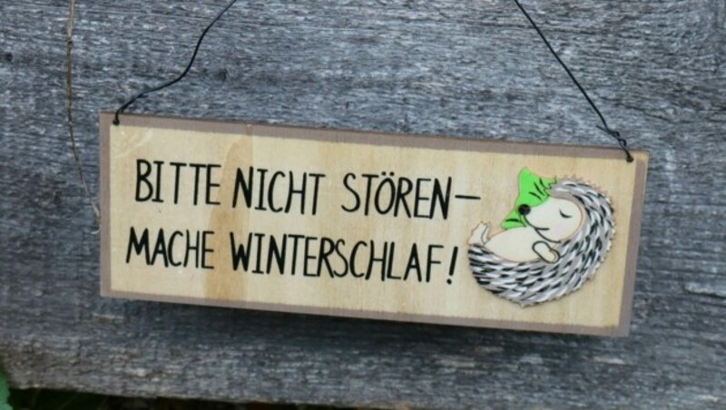 Schlafhäuser sind extra für die Igel aufgestellt worden, damit die Igel ein bequemes Winterquartier haben. (Bild: Claudia Fischer)