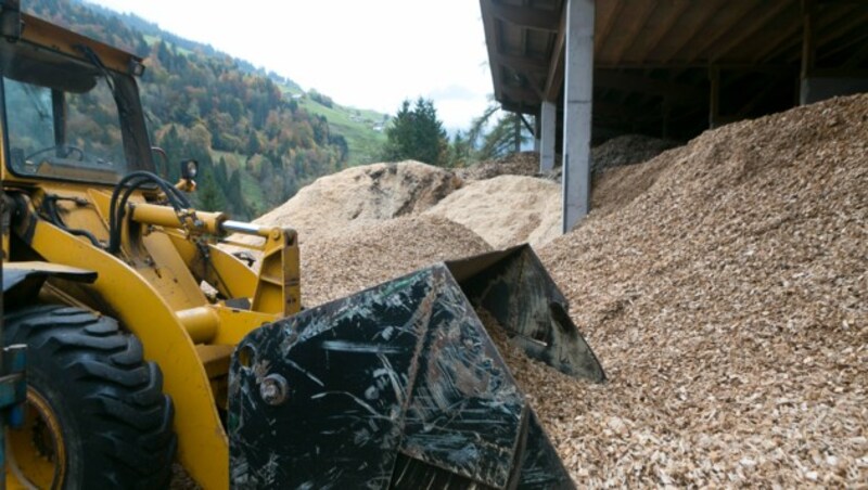 Der große Waldanteil entpuppte sich für das Walsertal als großen Vorteil. (Bild: Mathis Fotografie)