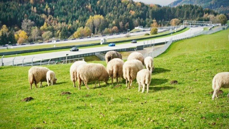 Noch ist unklar, wie es in der Region weitergehen wird (Bild: Sepp Pail)