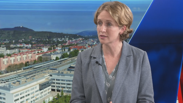 Stefanie Krisper, NEOS-Fraktionschefin zum ÖVP-U-Ausschuss (Bild: krone.tv)