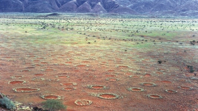 Fairy circles in the Marienfluss Valley in Namibia (Bild: Wikipedia/Dr. Stephan Getzin (CC BY 2.5))
