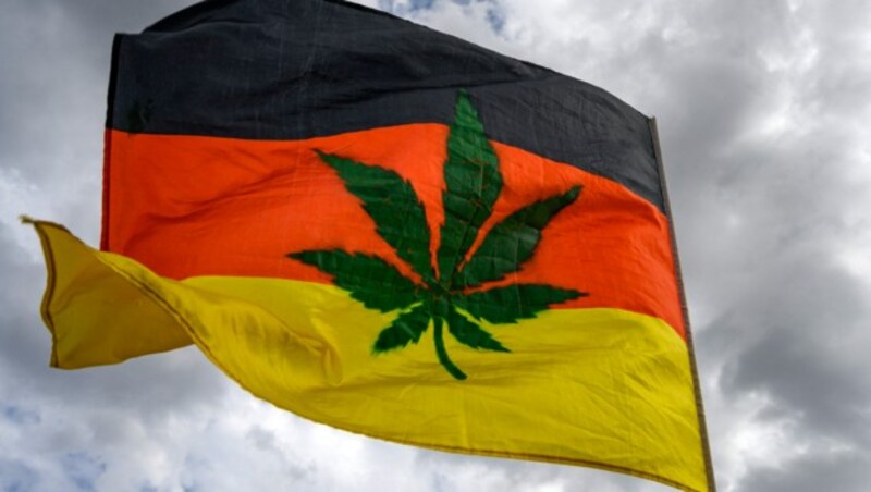 Ist es bald soweit und in Deutschland ist Gras legal? (Bild: APA/AFP/John MACDOUGALL)