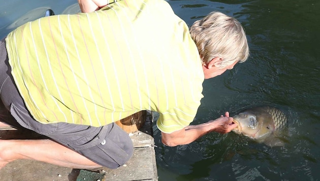 Norbert Pingitzer züchtet gerne Fische. Fischotter wiederum sind seine Sache nicht (Bild: Judt Reinhard)