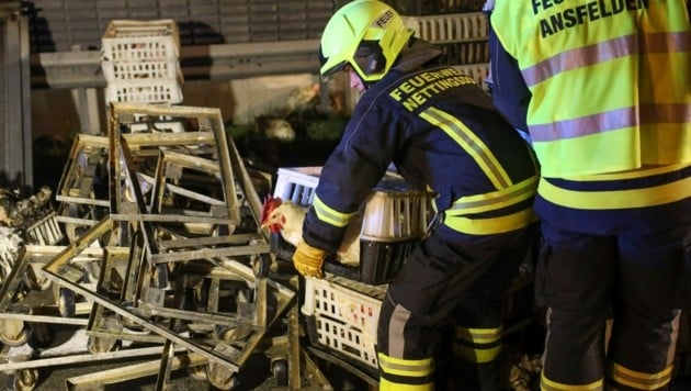 Die Rettungsaktion für die Hühner stellte die Feuerwehr vor Herausforderungen. (Bild: laumat.at/Matthias Lauber)