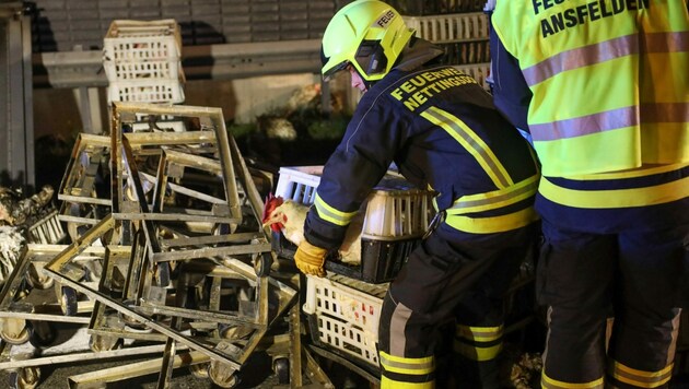Die Rettungsaktion für die Hühner stellte die Feuerwehr vor Herausforderungen. (Bild: laumat.at/Matthias Lauber)