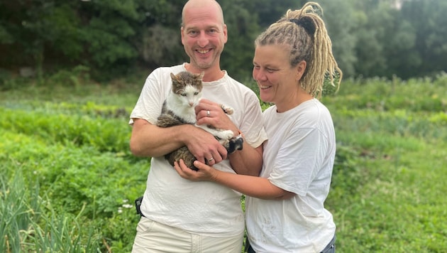 Kater „Timmy“ wohnt auf dem Hof Sonnenweide und ist ein kleiner Sonnenschein, der sich mit allen anderen Tieren dort bestens versteht. (Bild: Hof Sonnenweide)