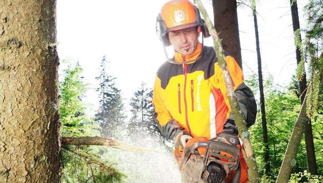 20.000 Jobs gibt es durch die Holzwirtschaft in Niederösterreich. (Bild: Gabriele Moser)