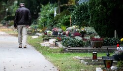Am Salzburger Kommunalfriedhof werden seit geraumer Zeit mehr Gräber aufgelassen als neue dazukommen (Bild: Tröster Andreas)