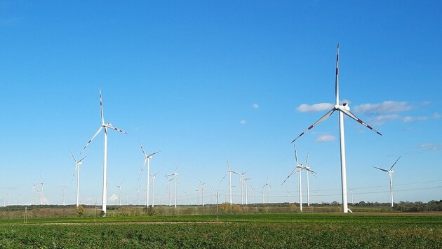 Die Grünen bekennen sich klar zu Windanlagen. (Bild: P. Huber)