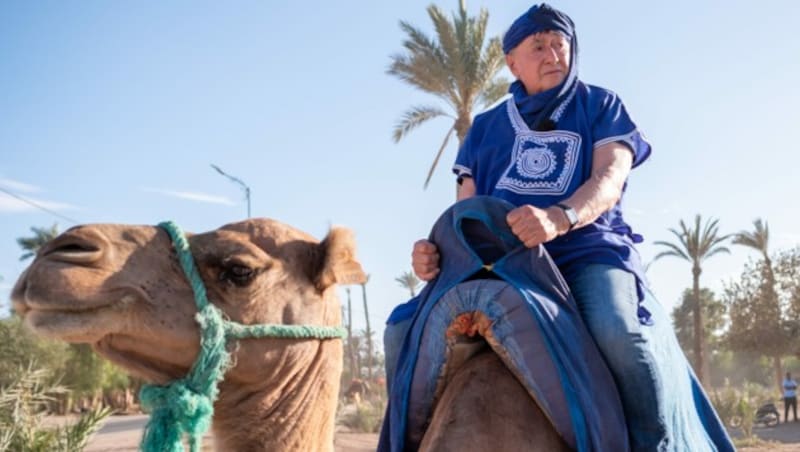 Richard Lugner wagte den Ritt auf einem Kamel. (Bild: MOHAMED MIMID)