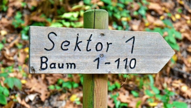 Die Schilder weisen den Weg zu den Gräbern. (Bild: Richard Heintz, Foto Ricardo)