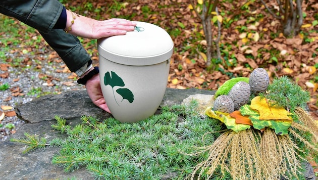 Die Urnen sind biologisch abbaubar und werden eins mit der Natur. (Bild: Richard Heintz, Foto Ricardo)