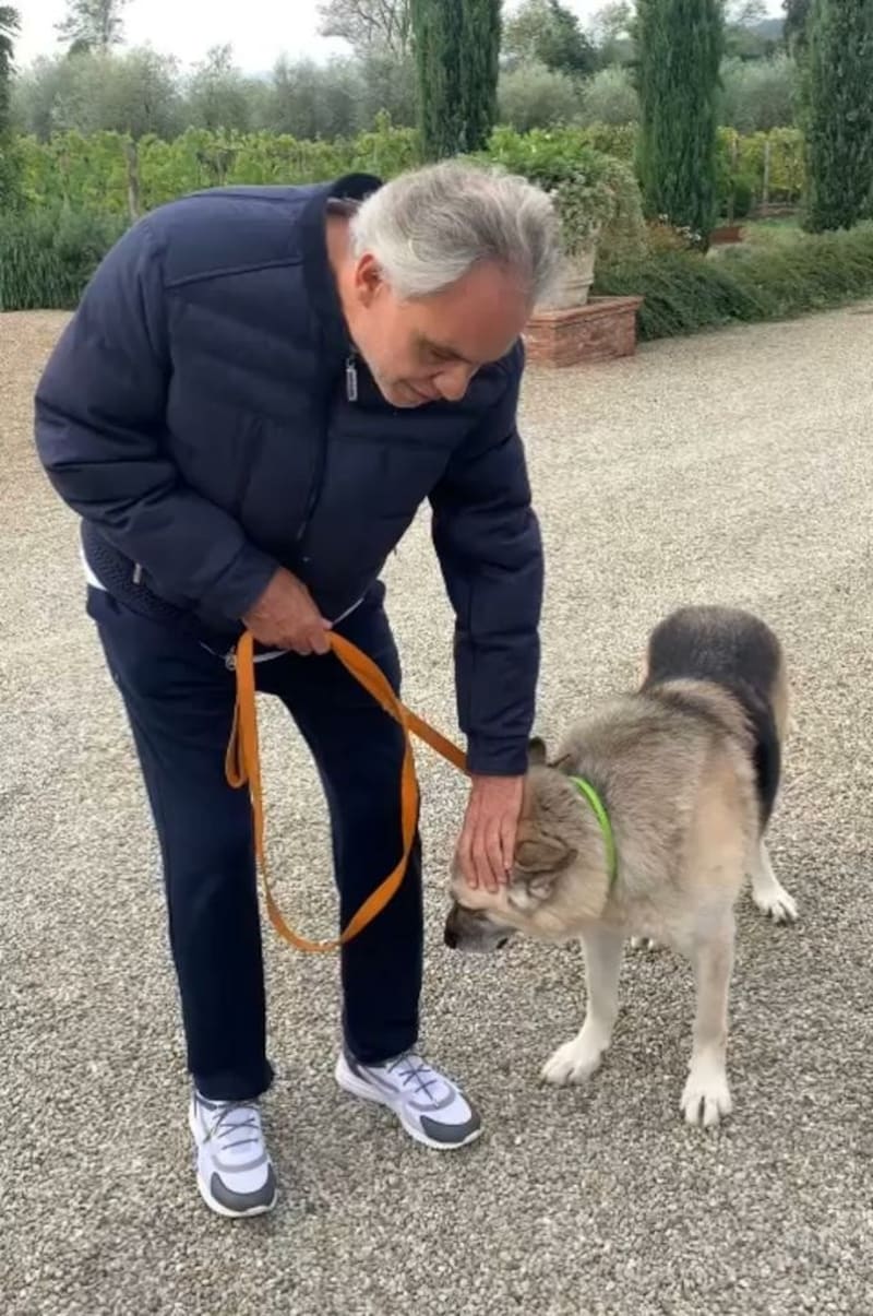 Malyarewitsch veröffentlichte die bewegenden Bilder des ersten Treffens zwischen „Jack“ und Bocelli. (Bild: Facebook.com/andreabocelli)