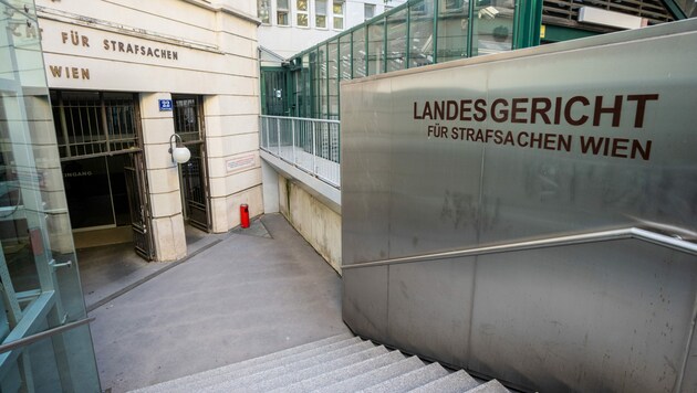 Der Angeklagte liefert im Landesgericht Wien ein fragwürdiges Tatsachengeständnis. (Bild: APA/GEORG HOCHMUTH)
