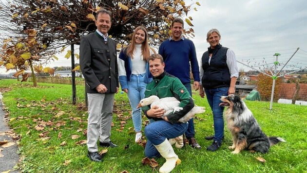 13 Betriebe haben sich der Weideganshaltung verschrieben, so Landwirtschaftskammer- Präsident Niki Berlakovich. Einer davon ist die Familie Resch in Litzelsdorf. (Bild: Christian schulter)