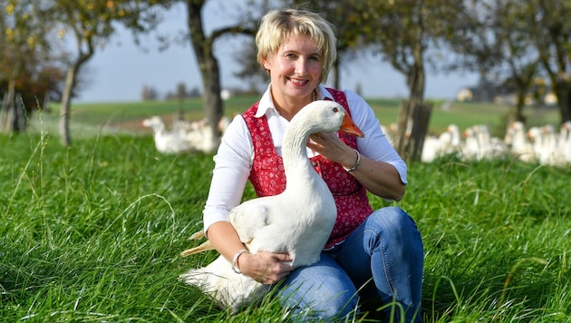 Heidi Hebesberger, Obfrau der Gänsebauern in Österreich, kann ihre Gänse trotz Mehrkosten zu einem angemessenen Preis anbieten. (Bild: Dostal Harald)