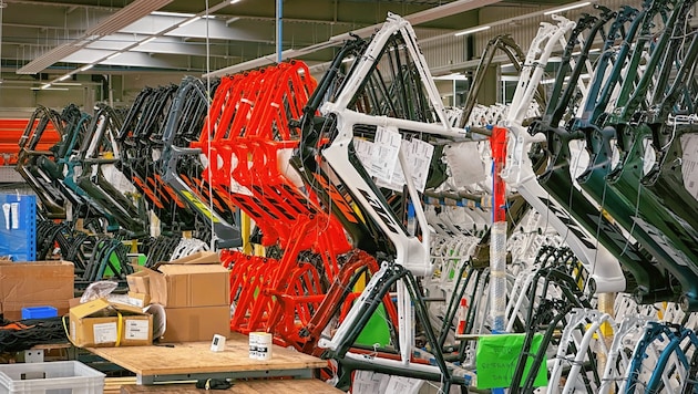 Hırsızlar 80.000 Avro değerindeki yaklaşık 15 e-bisikleti ele geçirmeyi başardı. (Bild: Wallner Hannes)