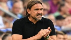 Daniel Farke (Bild: GEPA pictures)