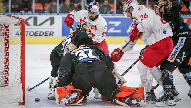 Black Wings gegen Salzburg (Bild: GEPA pictures)