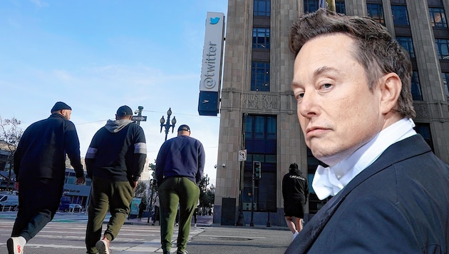 Twitter will Dutzende Entlassene zurückholen. Bereut Elon Musk seine Kündigungswelle? (Bild: Krone KREATIV, AP, AFP/Getty Images/Dimitrios Kambouris)