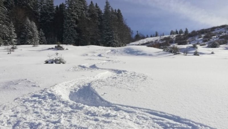 Skitourenparadies Gaißau-Hintersee (Bild: Alpenverein Salzburg)